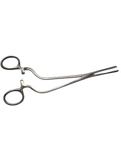 FIRSTY® PINCE DE CHÉRON COUDÉE 24 CM INOX